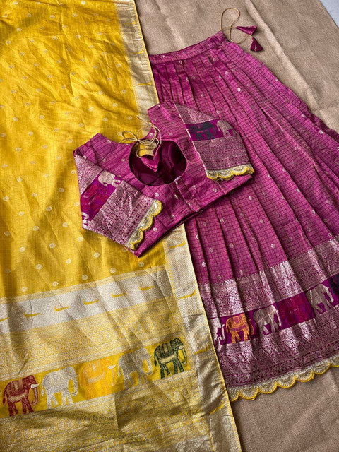 Elephant Checks Viscose Tissue Silk Lehenga Set - WhatsApp Image 2026-08-14 at 20.23.24