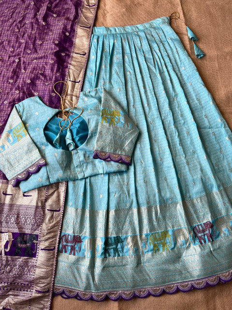 Elephant Checks Viscose Tissue Silk Lehenga Set - WhatsApp Image 2026-08-14 at 20.23.24 (2)