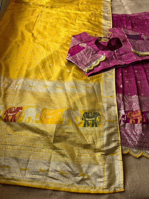 Elephant Checks Viscose Tissue Silk Lehenga Set - WhatsApp Image 2026-08-14 at 20.23.26 (2)