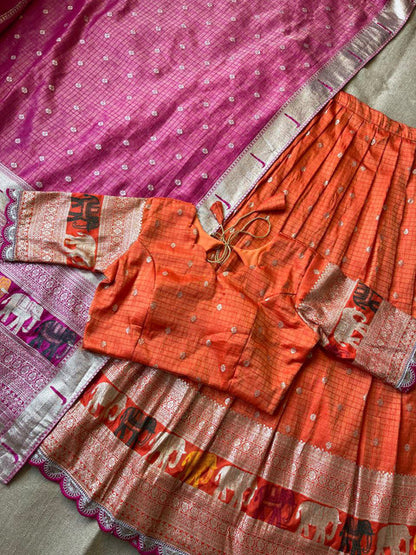 Elephant Checks Viscose Tissue Silk Lehenga Set - WhatsApp Image 2026-08-14 at 20.23.28 (2)