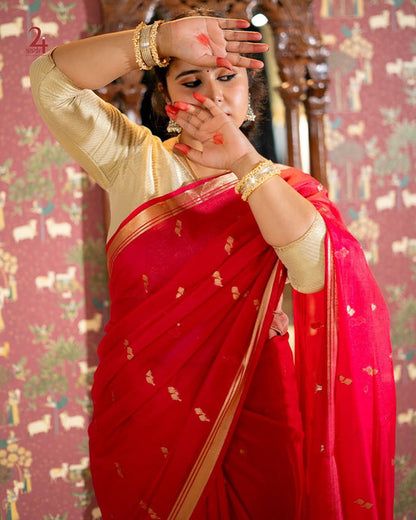Banarasi Raw Mango Silk Saree with Designer Border and Pallu - WhatsApp Image 2026-09-02 at 10.58.09