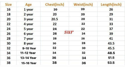Premium Long Frock for Girls with Attached Dupatta and Pattu Yoke
