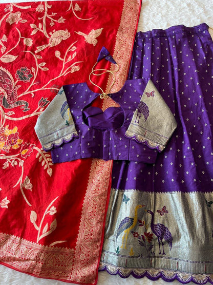Flamingo Soft Dola Silk Stitched Lehenga Choli with Jacquard Dupatta