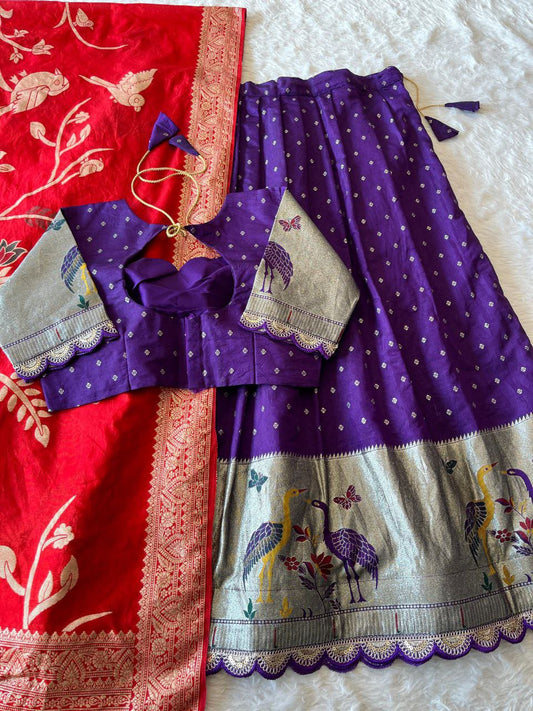 Flamingo Soft Dola Silk Stitched Lehenga Choli with Jacquard Dupatta